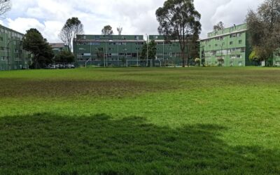 Cancha fuera de servicio