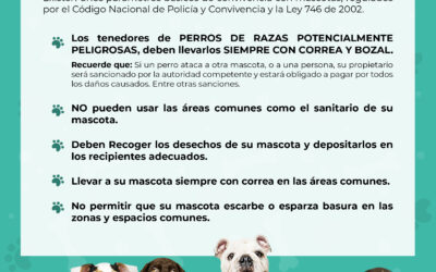 Recuerda estas fundamentales normas de convivencia con mascotas.🐶😺